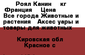  Роял Канин 20 кг Франция! › Цена ­ 3 520 - Все города Животные и растения » Аксесcуары и товары для животных   . Кировская обл.,Красное с.